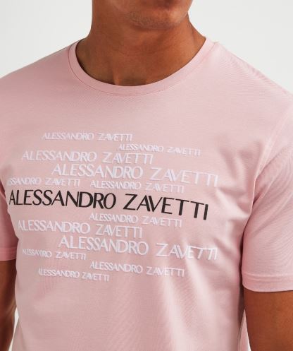 Novazzi T-shirt Alessandro Zavetti Mıknatıs Gri
