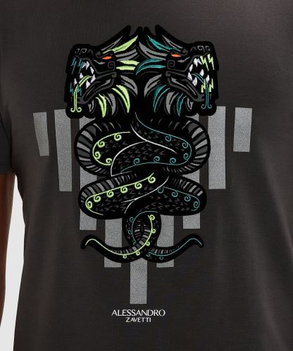 Alessandro Zavetti Magnet Gri Aztek çizgili Venom T-shirt