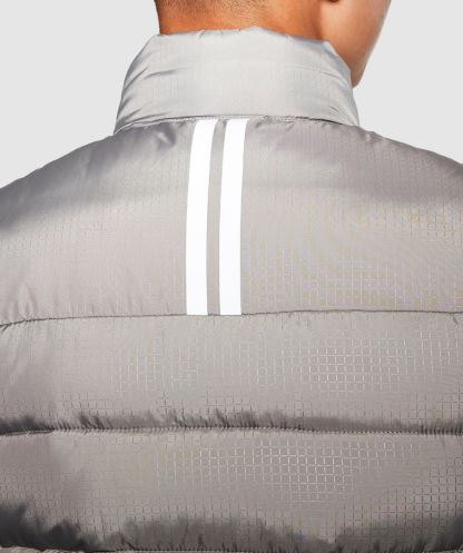 Alessandro Zavetti Gri Junior Elino Jile özel